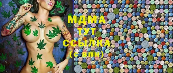 ГАЛЛЮЦИНОГЕННЫЕ ГРИБЫ Ладушкин