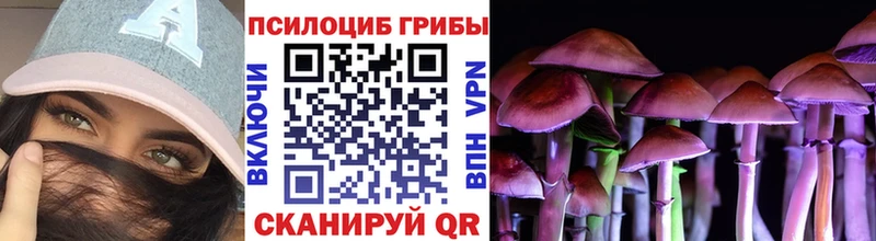 купить   Называевск  Псилоцибиновые грибы Psilocybine cubensis 