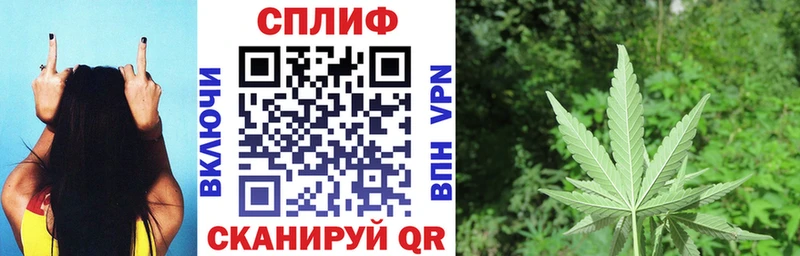 Бошки марихуана план где продают наркотики Называевск